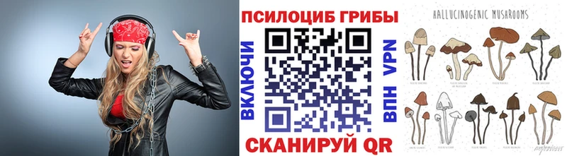 Галлюциногенные грибы Psilocybine cubensis  Грязи 